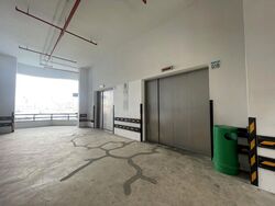 Skytech (D23), Factory #523120571